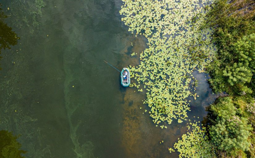 Minnesota’s lakes are running low on oxygen